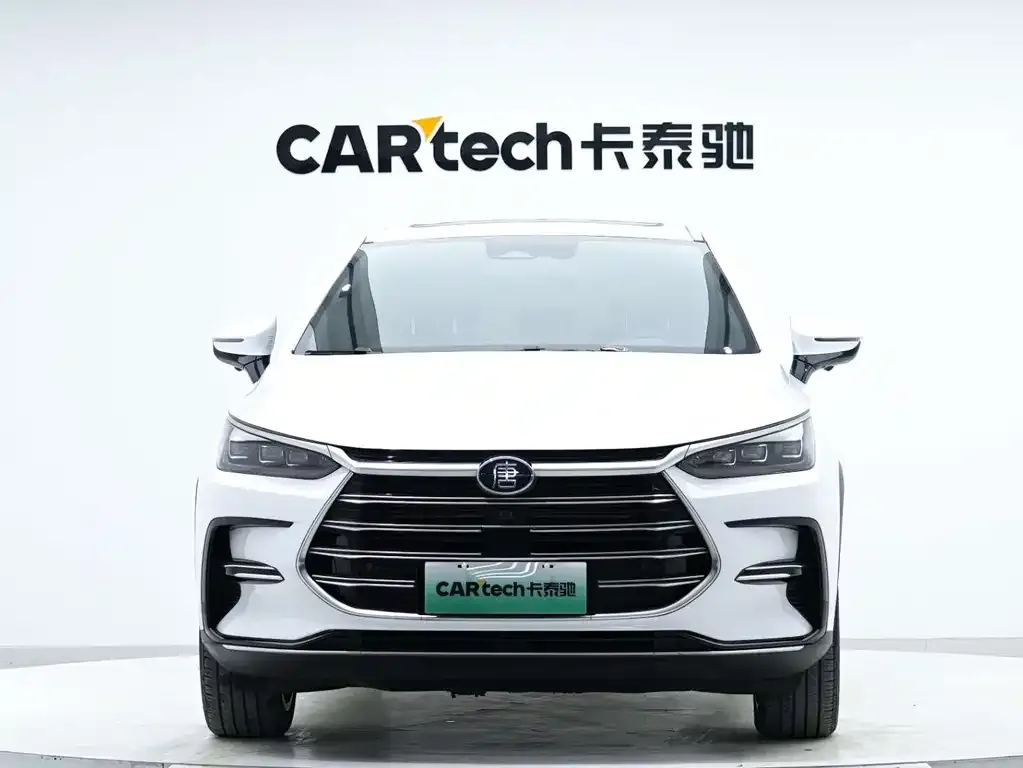 BYD Tang New Energy — фото 6