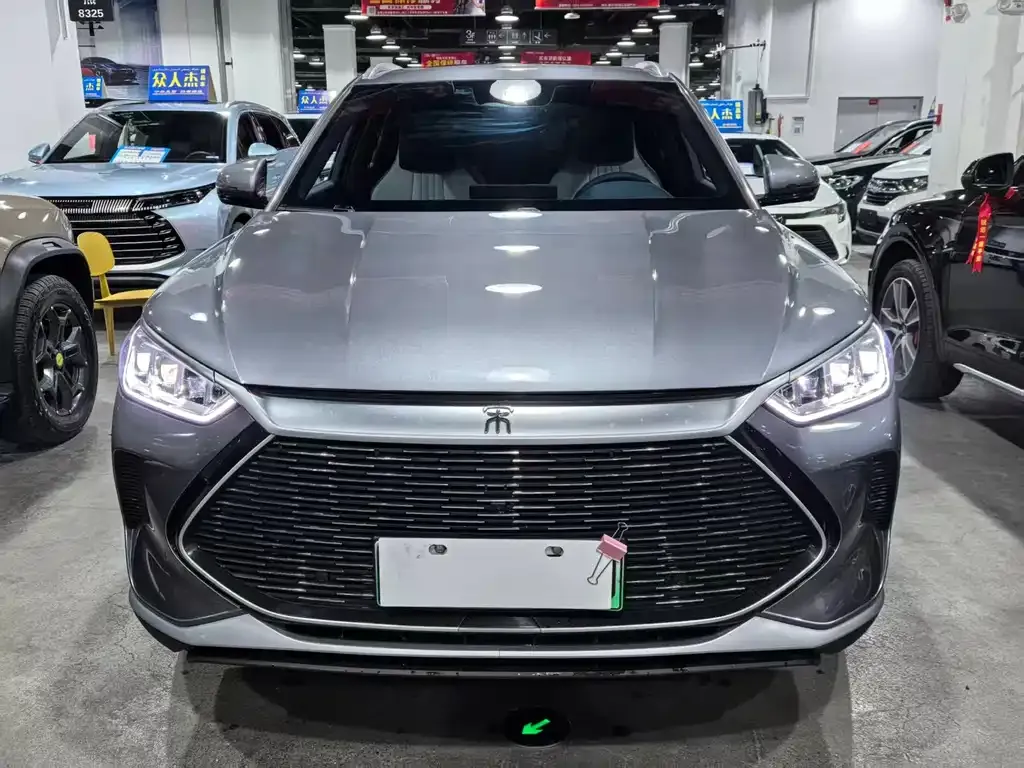 BYD PLUS New Energy — фото 1