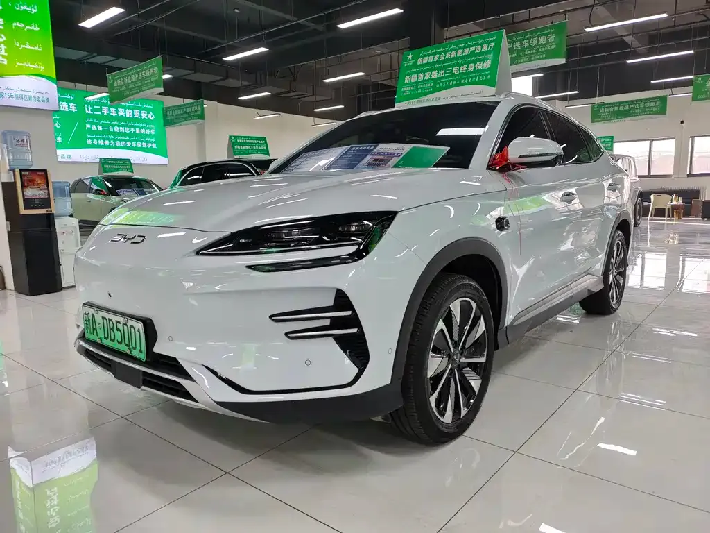 BYD PLUS New Energy — фото 1