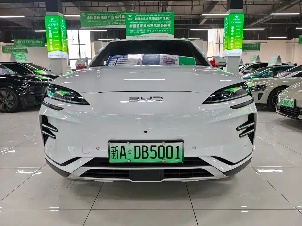 BYD PLUS New Energy — фото 2
