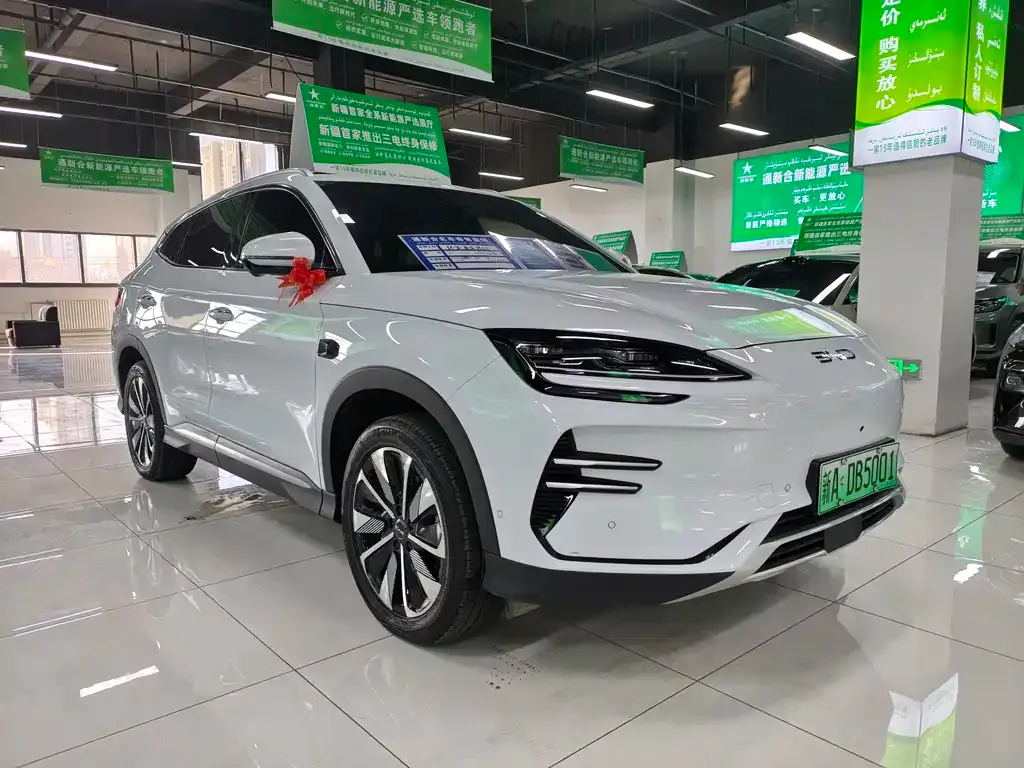 BYD PLUS New Energy — фото 3