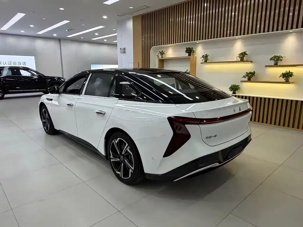 Hongqi EH7 — фото 7