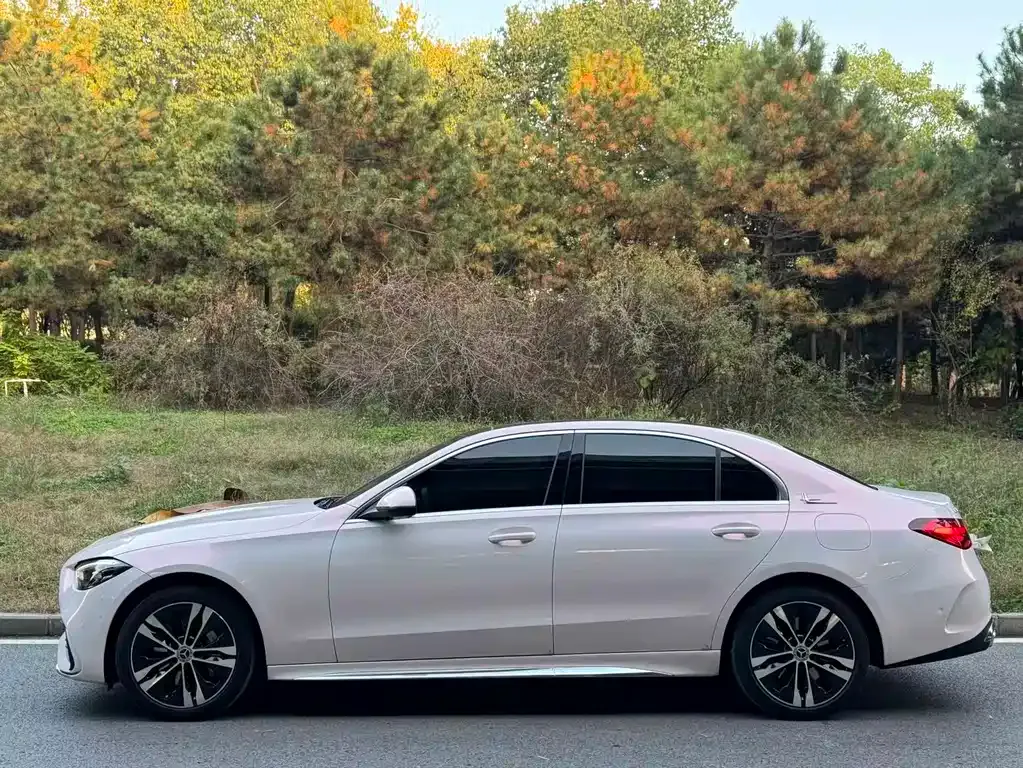 Mercedes-Benz C-Class New Energy — фото 3
