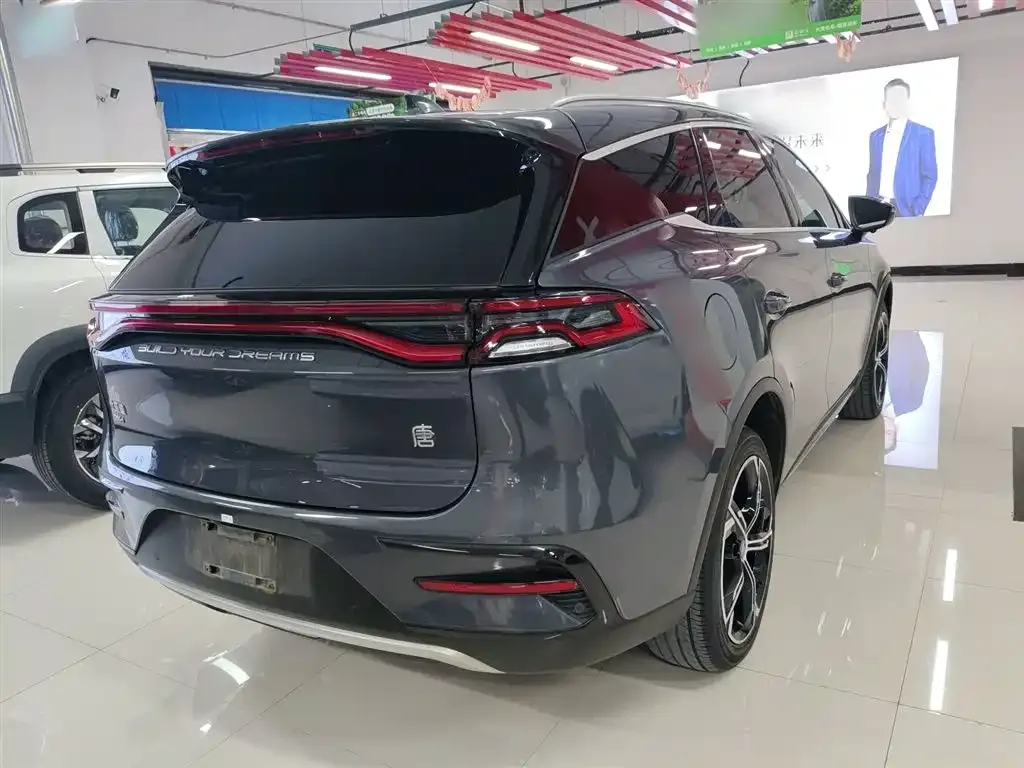 BYD Tang New Energy — фото 7