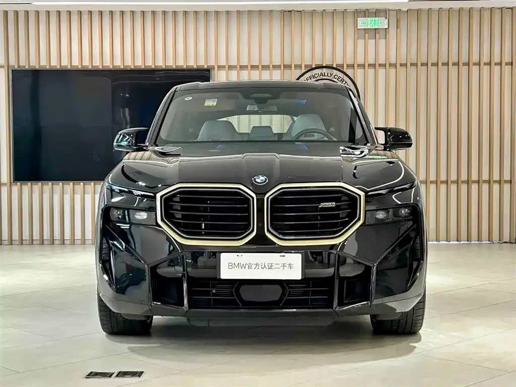 BMW XM — фото 2