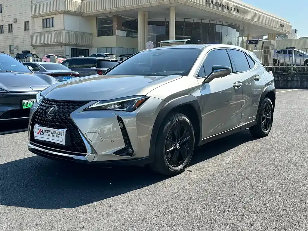 Lexus UX New Energy — фото 4