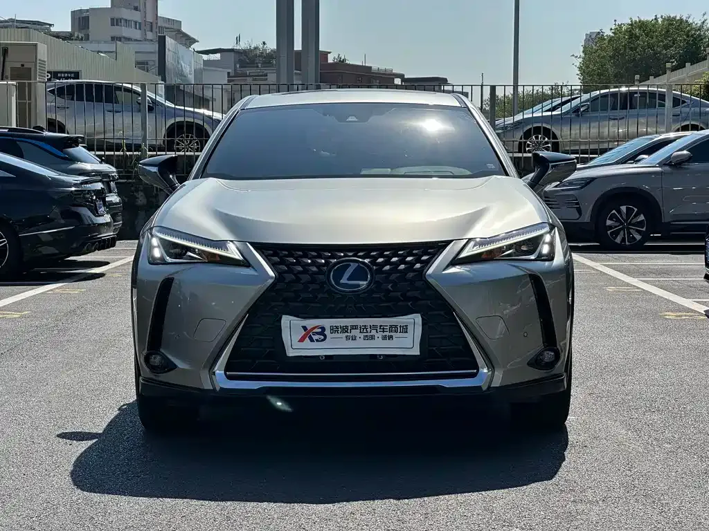 Lexus UX New Energy — фото 5