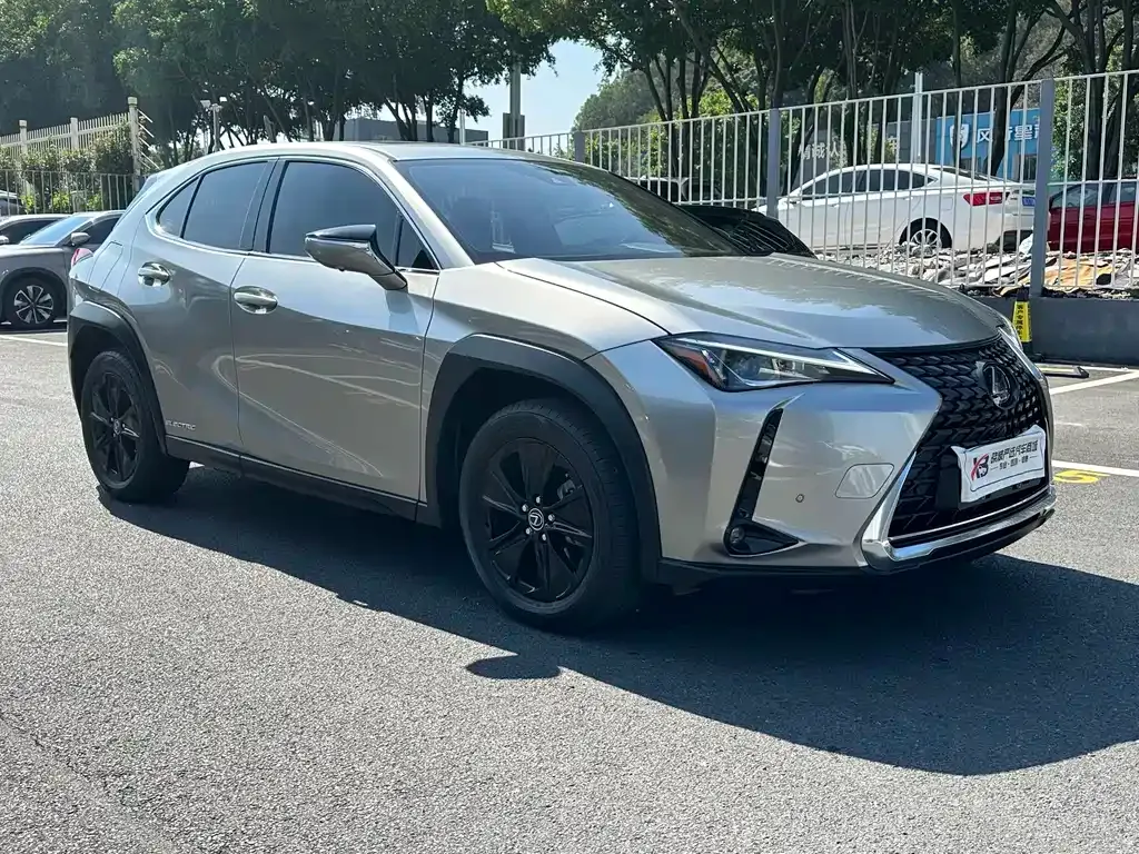 Lexus UX New Energy — фото 6