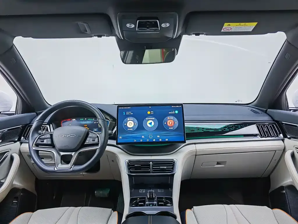 BYD PLUS New Energy — фото 10