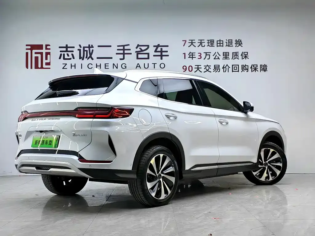 BYD PLUS New Energy — фото 3