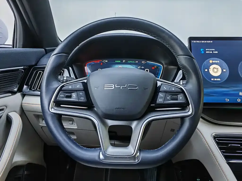 BYD PLUS New Energy — фото 6