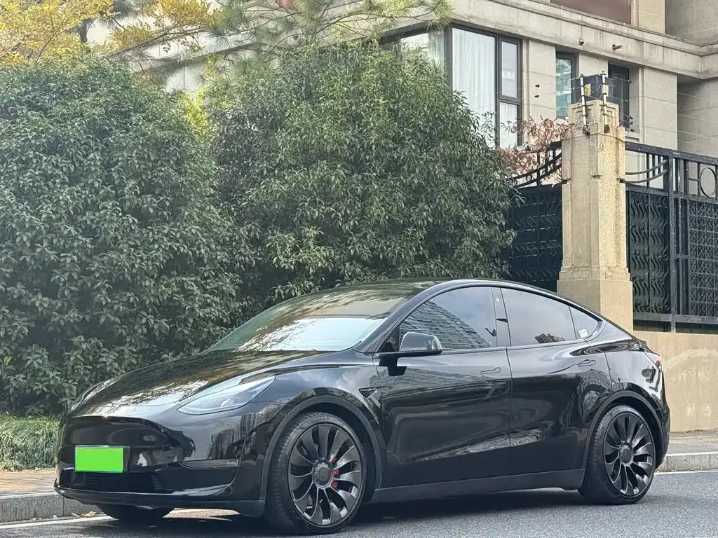 Tesla Model Y — фото 1
