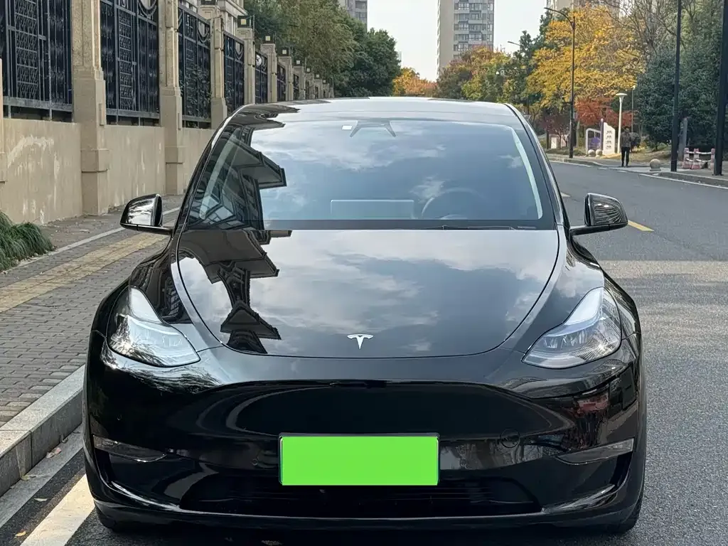 Tesla Model Y — фото 2
