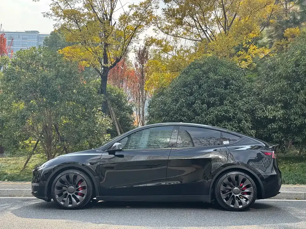 Tesla Model Y — фото 3
