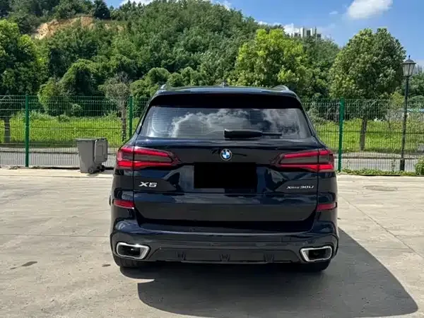 BMW X5 — фото 10