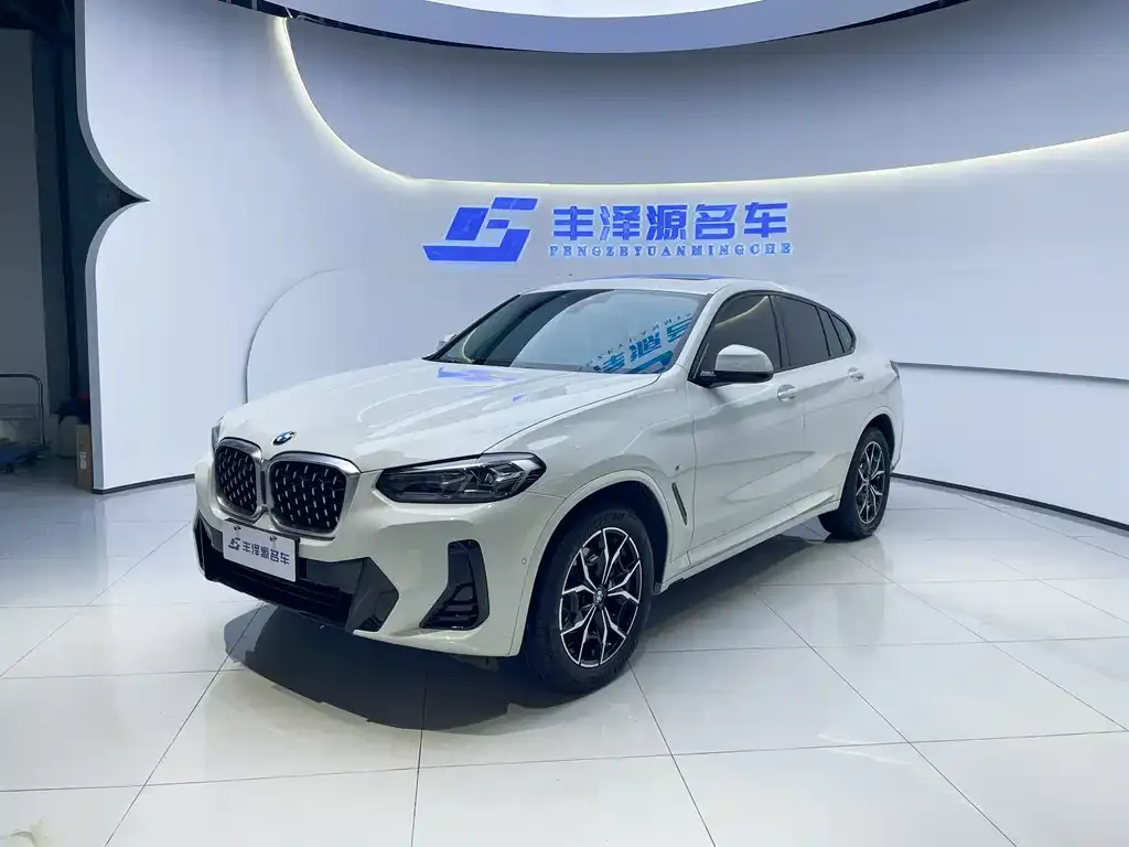 BMW X4 — фото 1