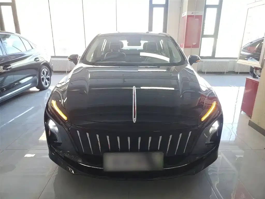 Hongqi E-QM5 — фото 3