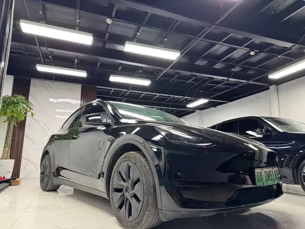 Tesla Model Y — фото 3