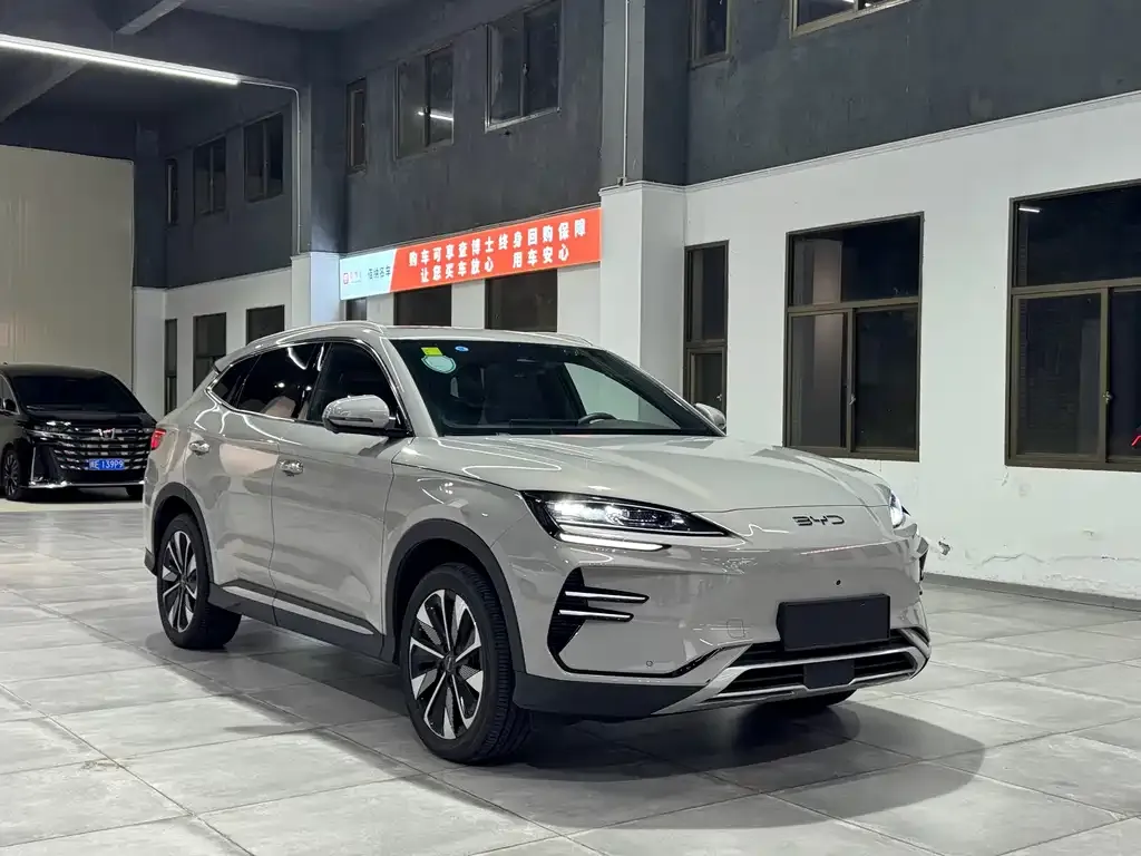 BYD PLUS New Energy — фото 3