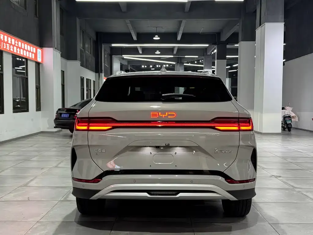 BYD PLUS New Energy — фото 8