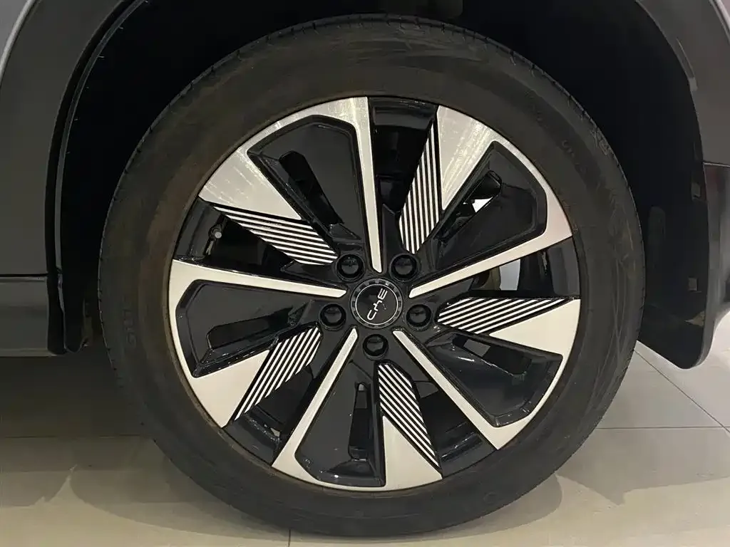 BYD PLUS New Energy — фото 10