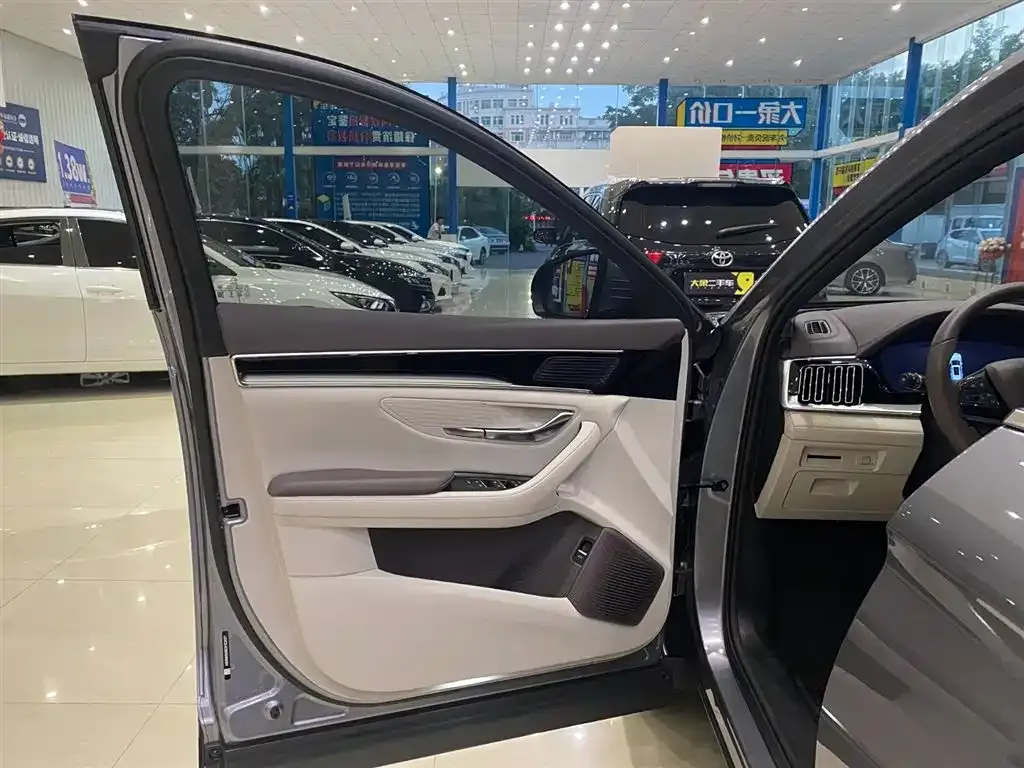 BYD PLUS New Energy — фото 2