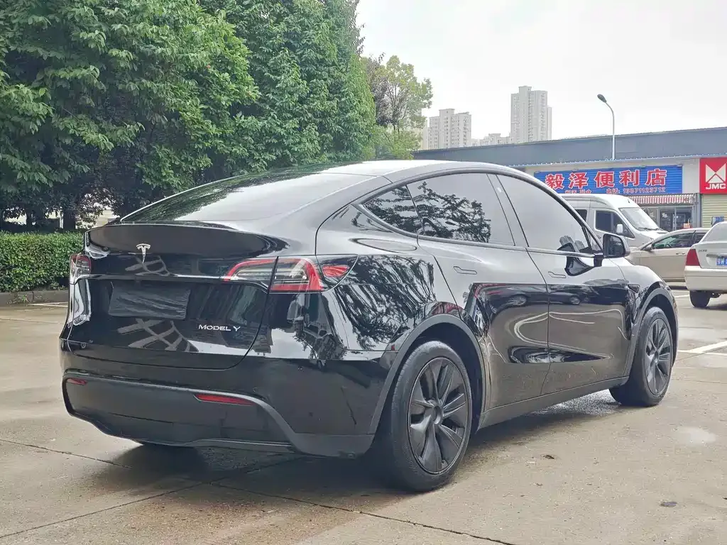 Tesla Model Y — фото 10