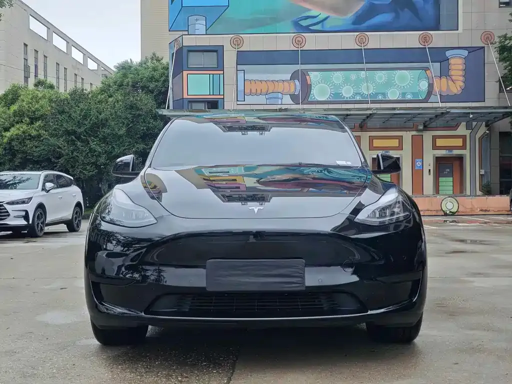 Tesla Model Y — фото 2