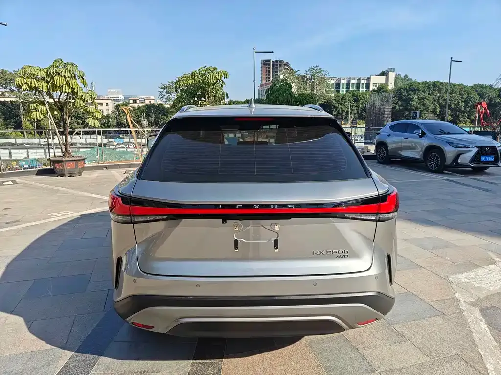 Lexus RX — фото 10