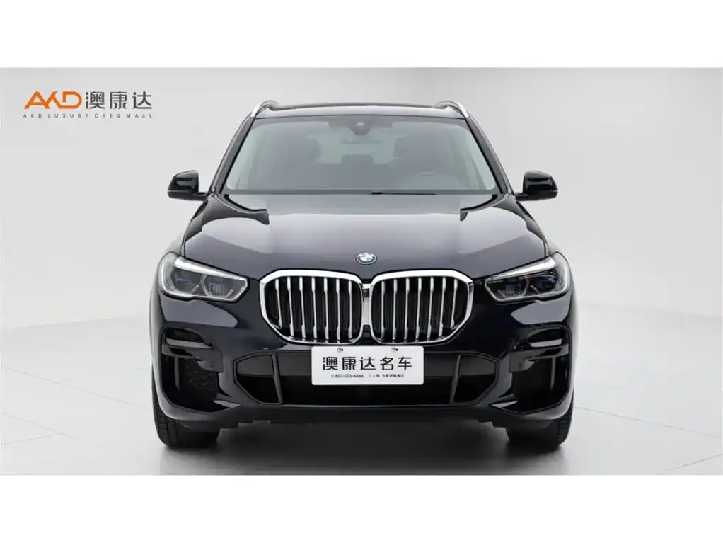 BMW X5 (Import) — фото 2