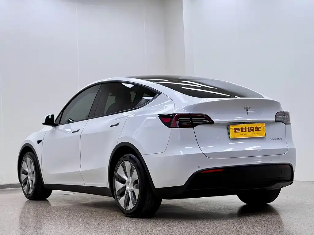 Tesla Model Y — фото 5