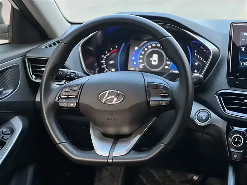 Hyundai Fista — фото 9