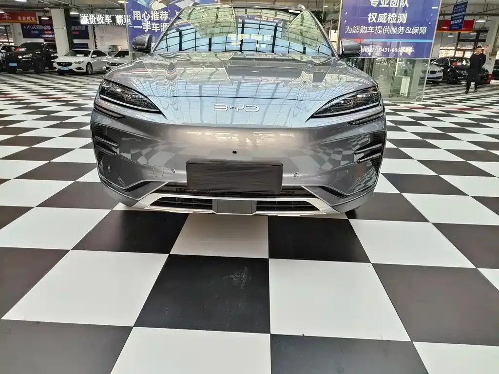 BYD PLUS New Energy — фото 2