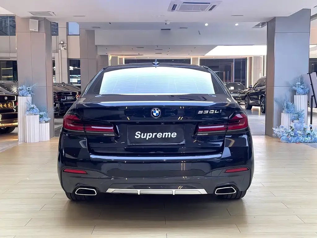 BMW 5 Series — фото 10