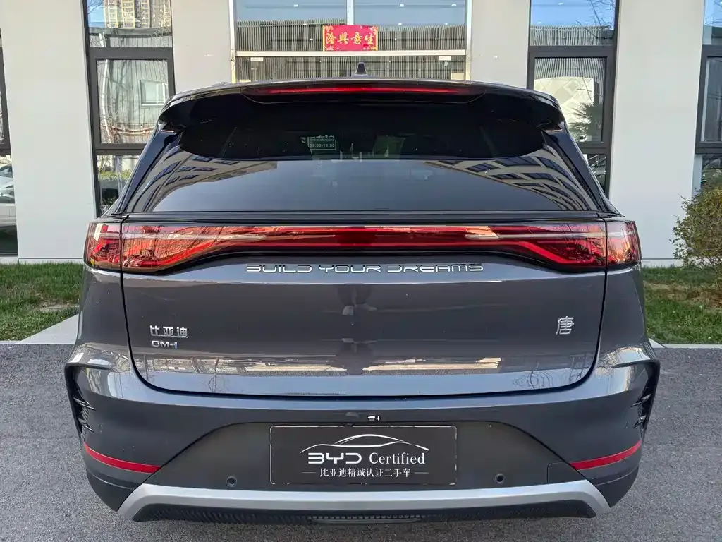 BYD Tang New Energy — фото 10