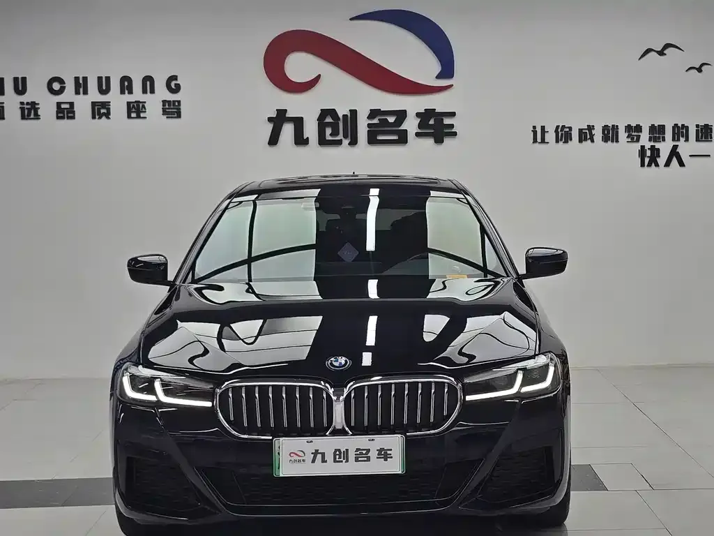 BMW 5 Series New Energy — фото 6