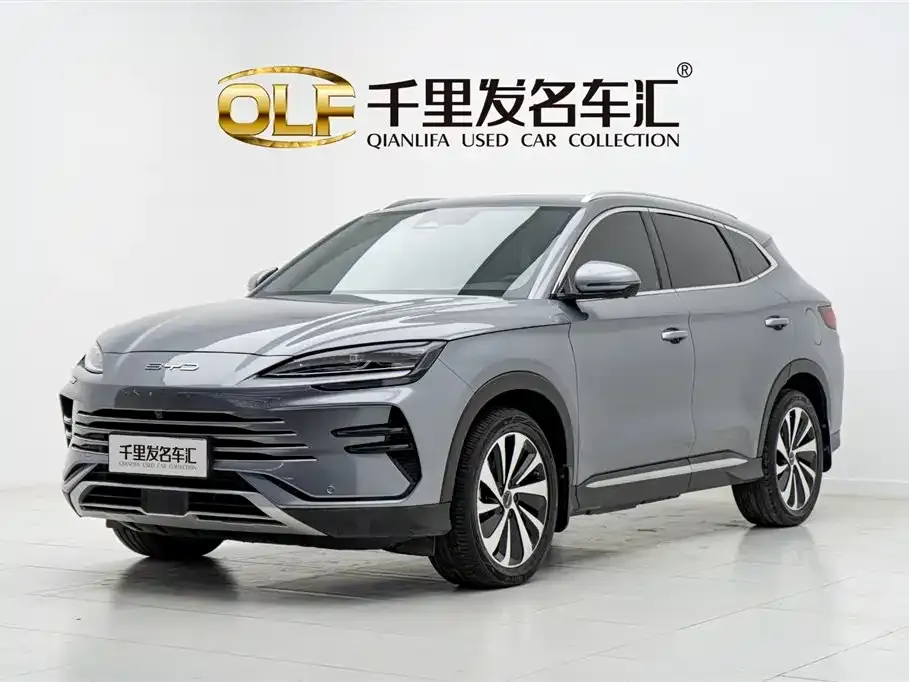 BYD PLUS New Energy — фото 2