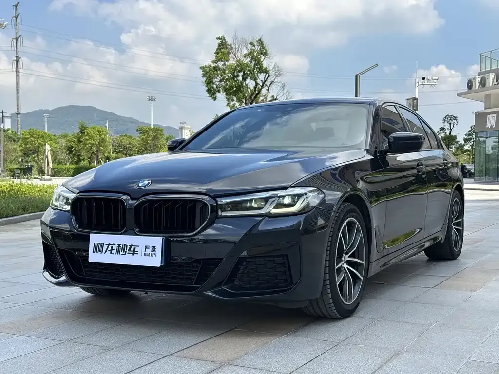 BMW 5 Series (Import) — фото 1
