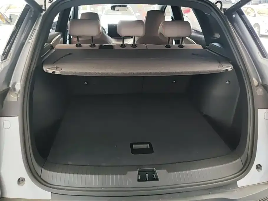 BYD Pro New Energy — фото 4