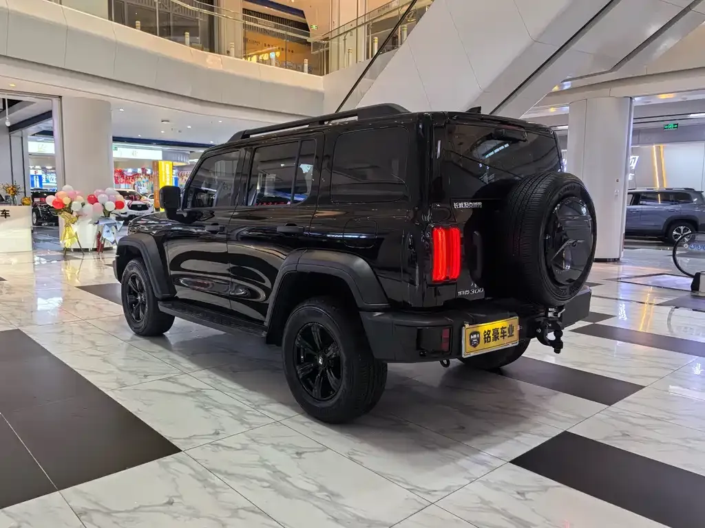 Tank 300 — фото 7