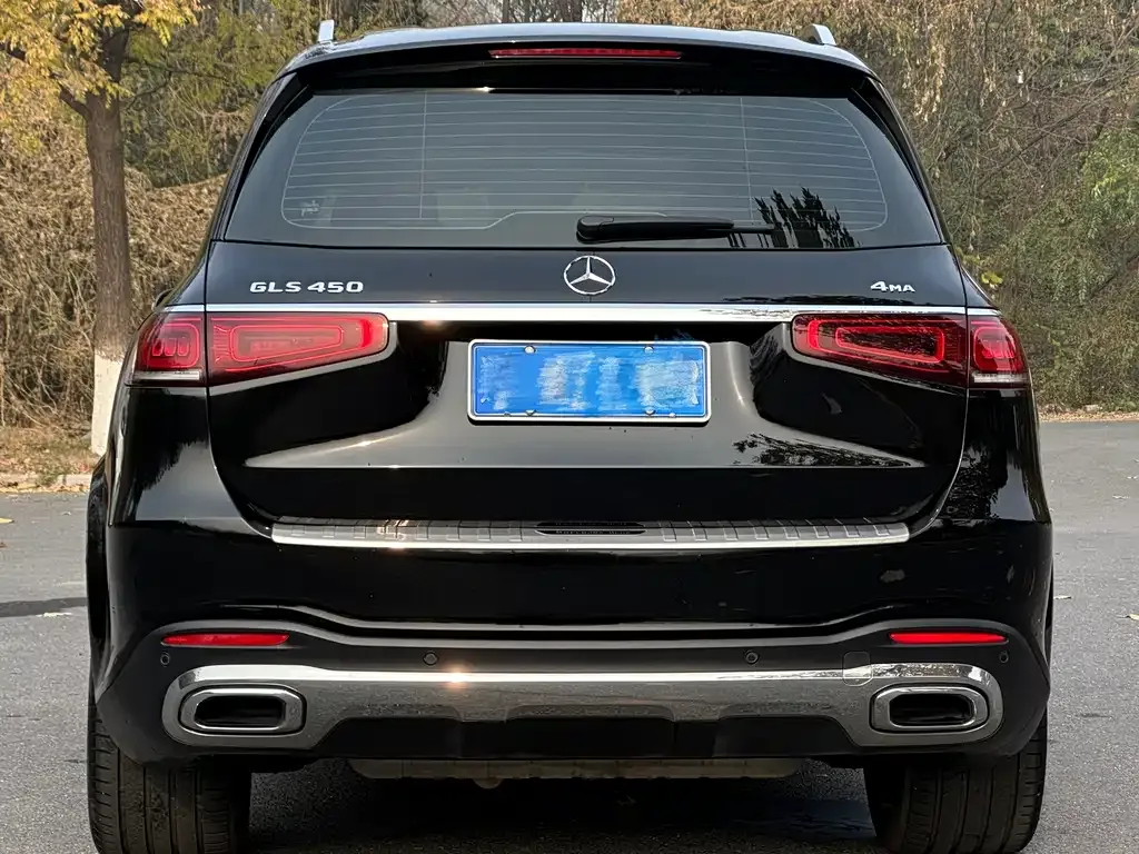 Mercedes-Benz GLS — фото 5