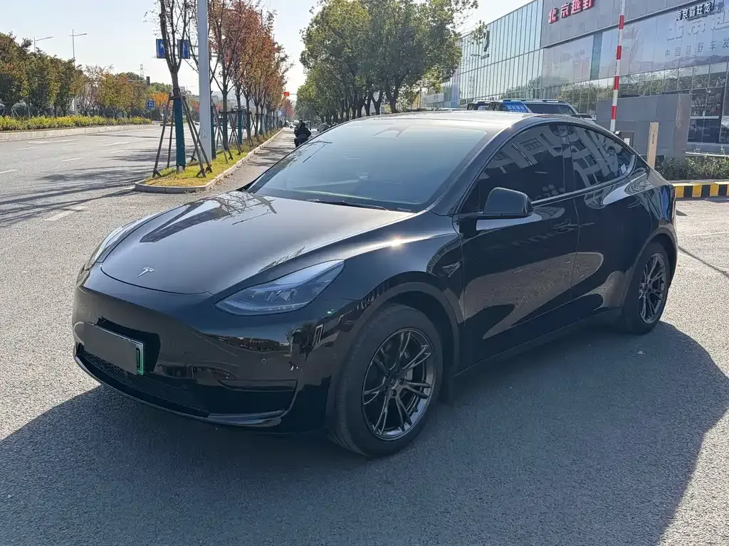 Tesla Model Y — фото 1