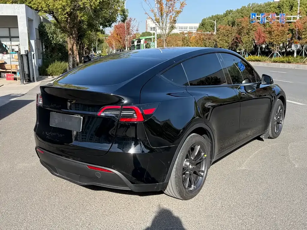 Tesla Model Y — фото 5