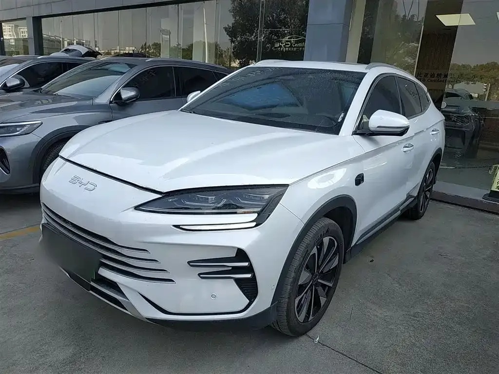 BYD PLUS New Energy — фото 2