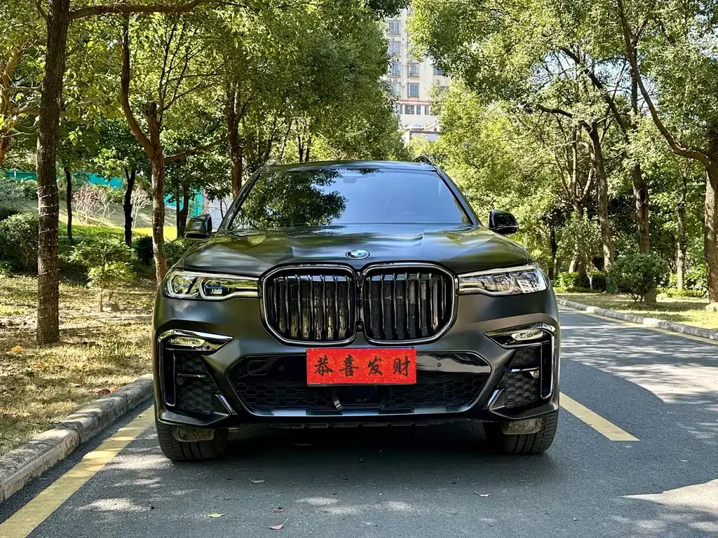 BMW X7 — фото 2