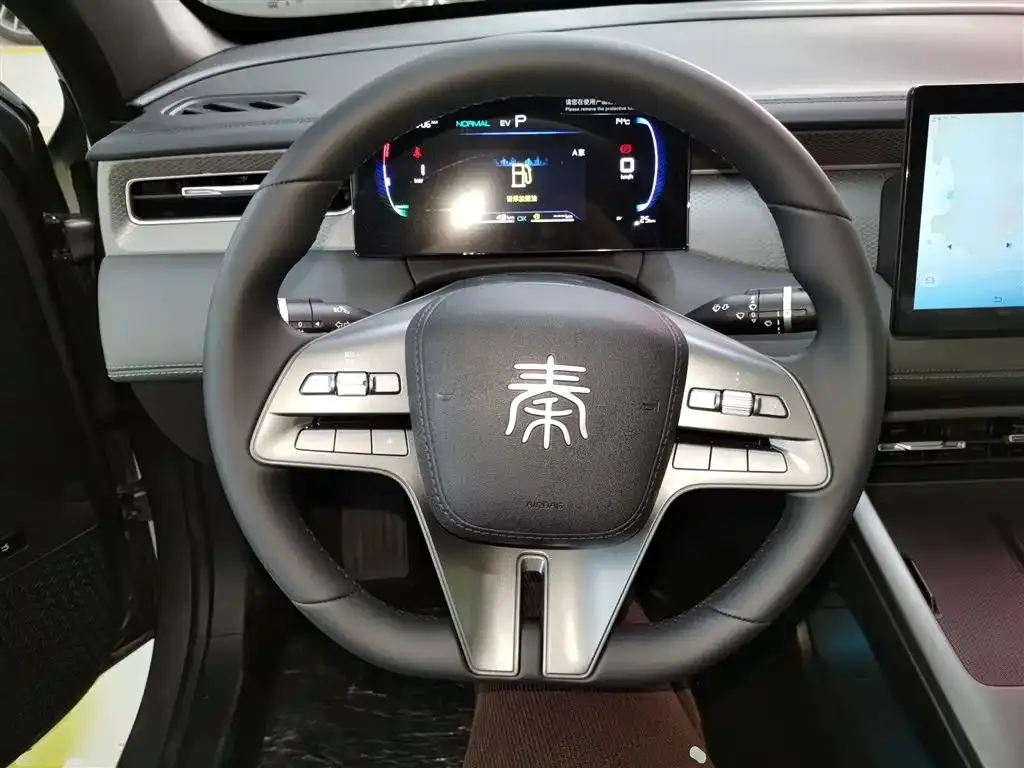 BYD Qin PLUS — фото 10