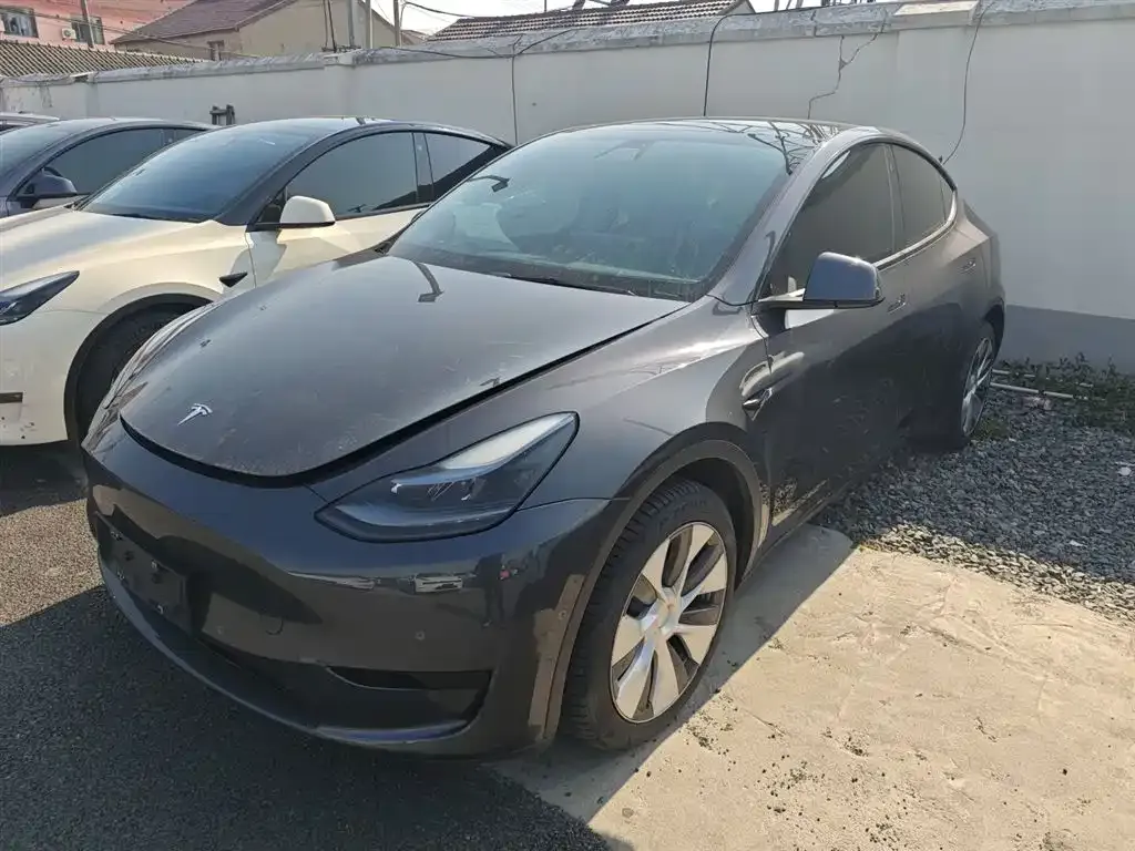 Tesla Model Y — фото 1