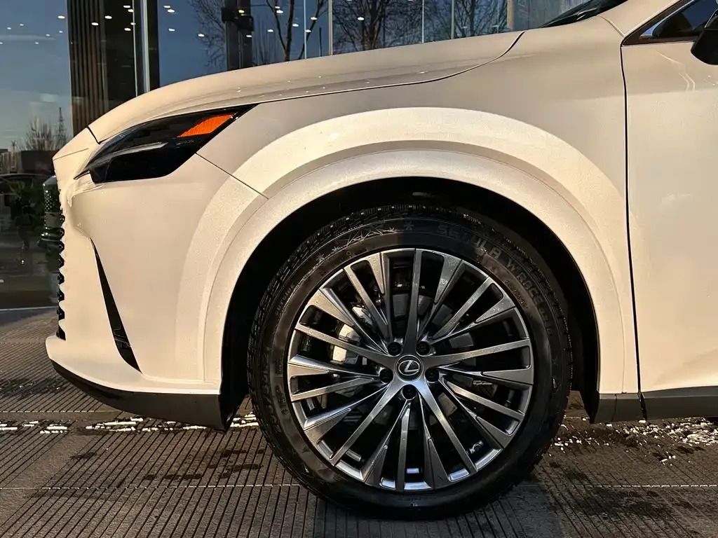 Lexus RX — фото 10