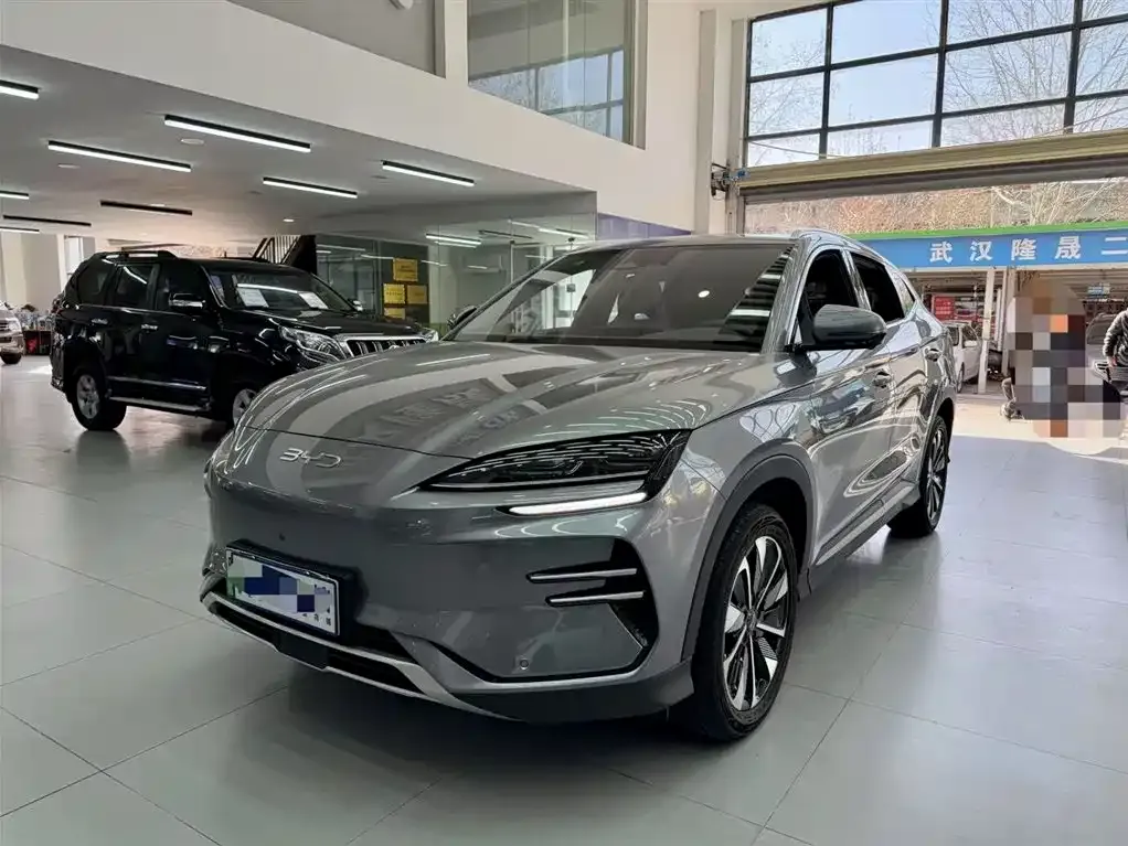 BYD PLUS New Energy — фото 1