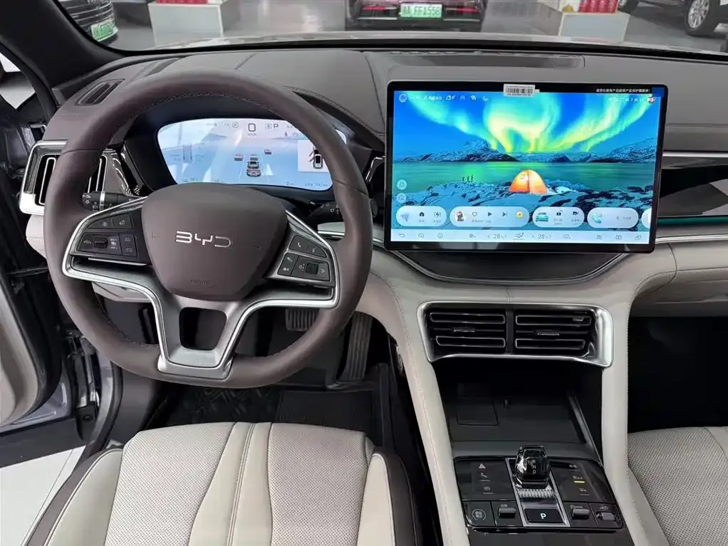 BYD PLUS New Energy — фото 4